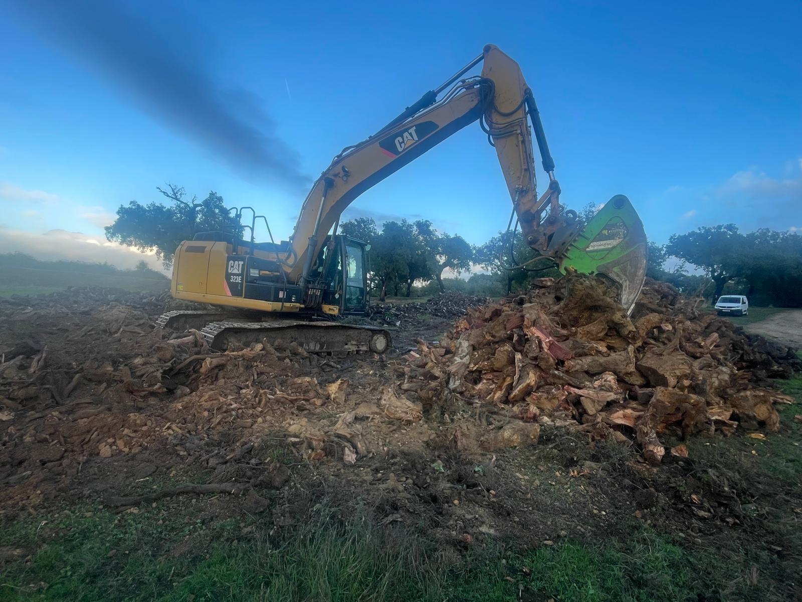 terreno