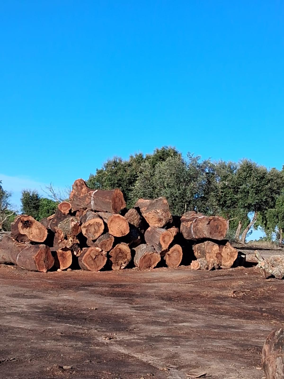 terreno
