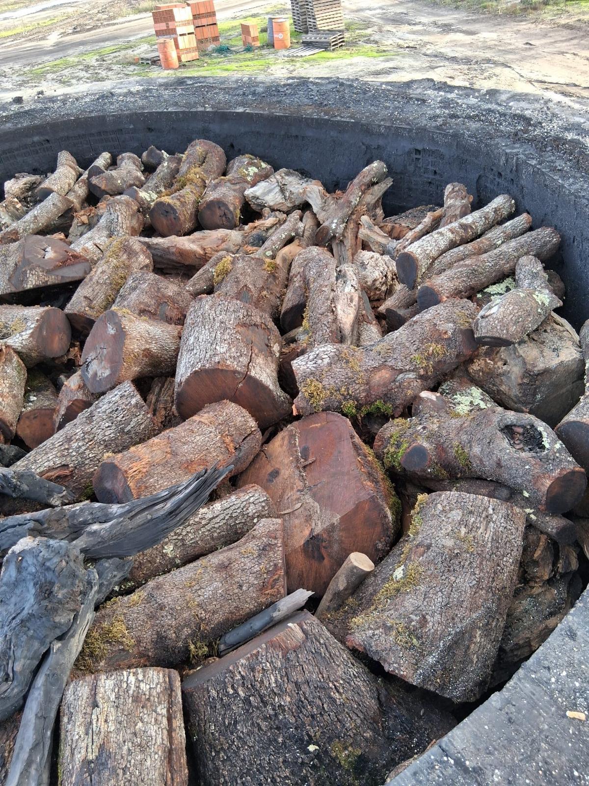 terreno