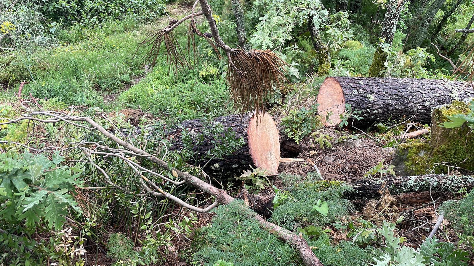 terreno
