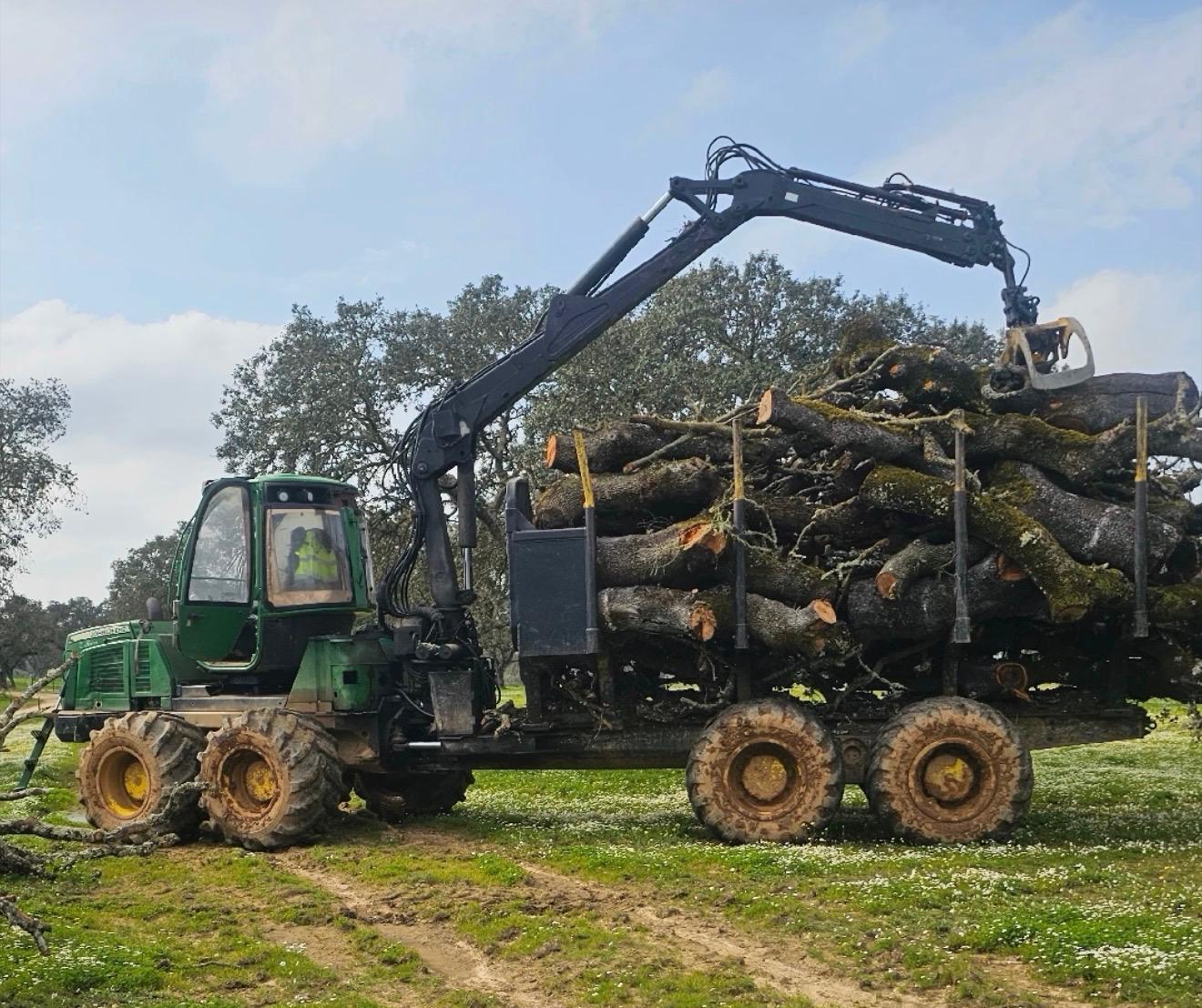 Produção de carvão vegetal