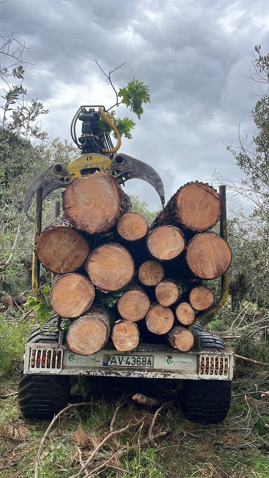 terreno