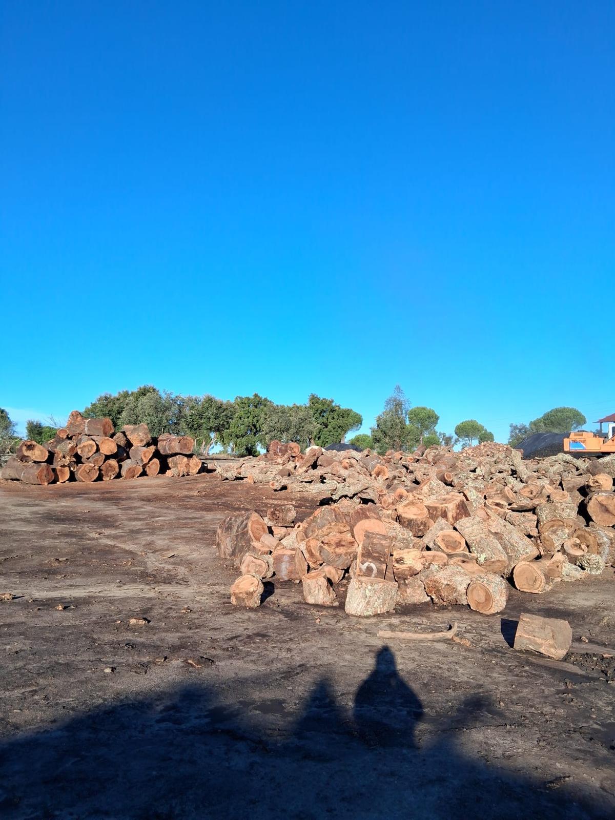 terreno