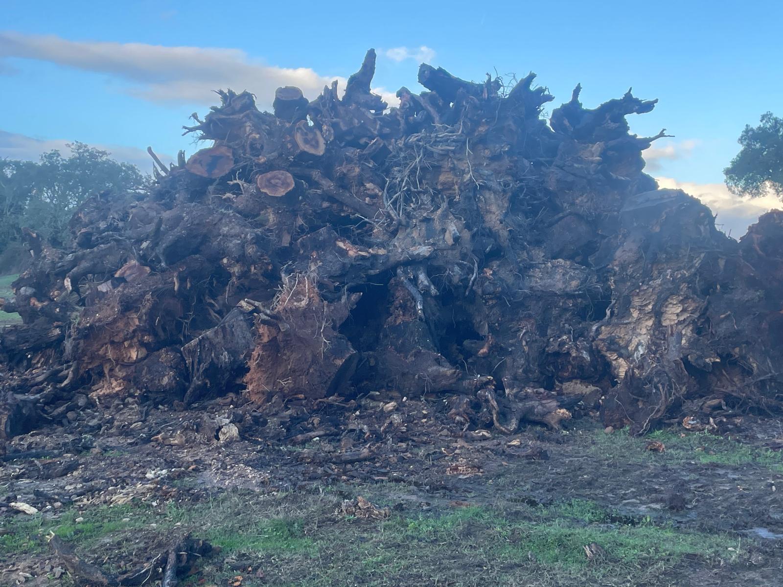 terreno