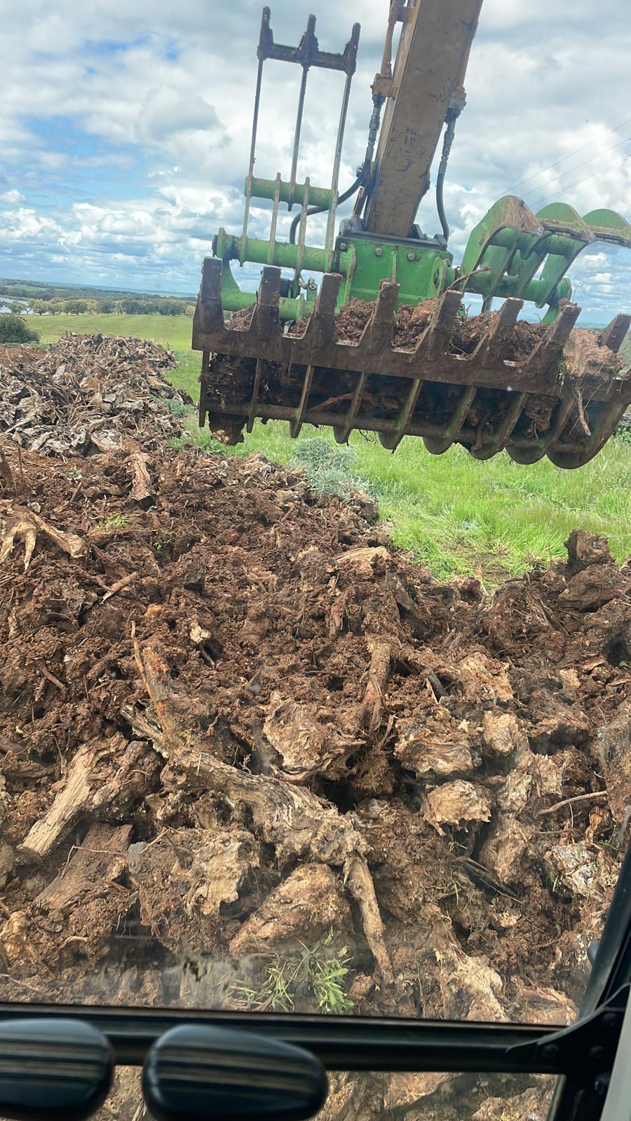 terreno